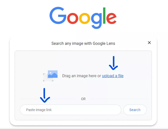 2 options for a reverse image search on Google