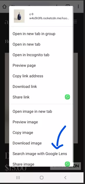 Reverse image search on Android method 3