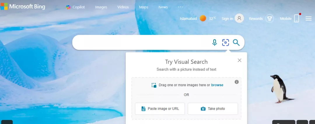 reverse image search on Bing