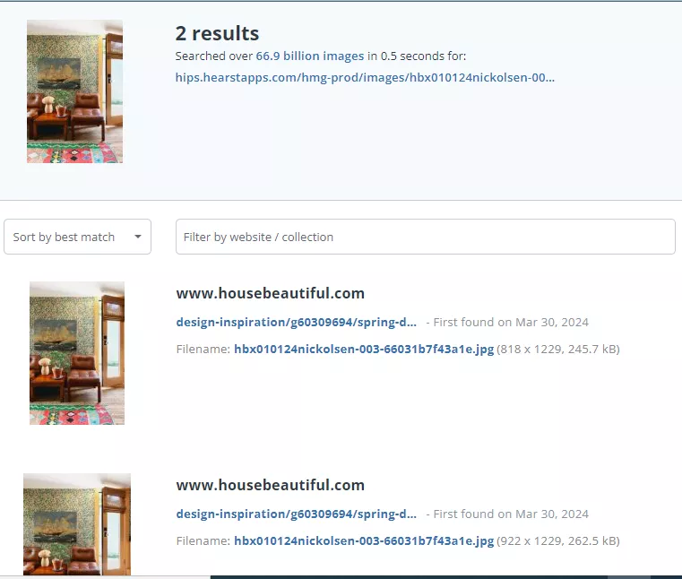 Sort and Filter options: reverse image search using TinEye