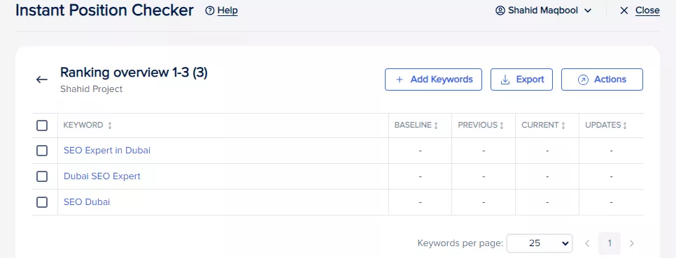 Dashboard after adding keywords in Instant Position Checker