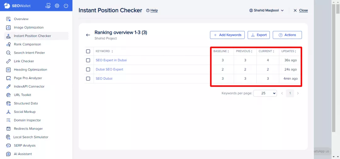 Rankings of keywords in Instant Position Checker