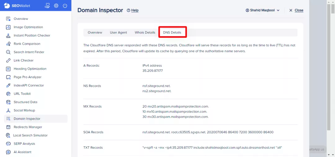 “DNS Details” - Domain Inspector