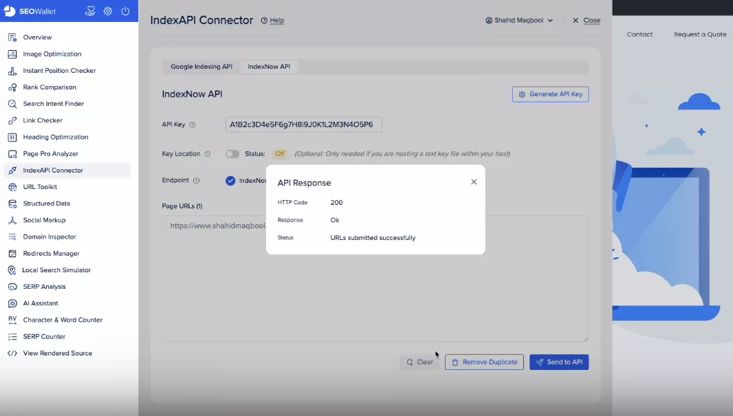 API response in IndexNow API