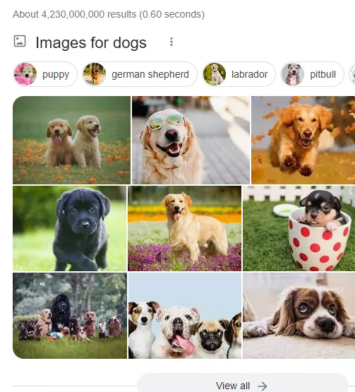 Image Pack SERP Feature