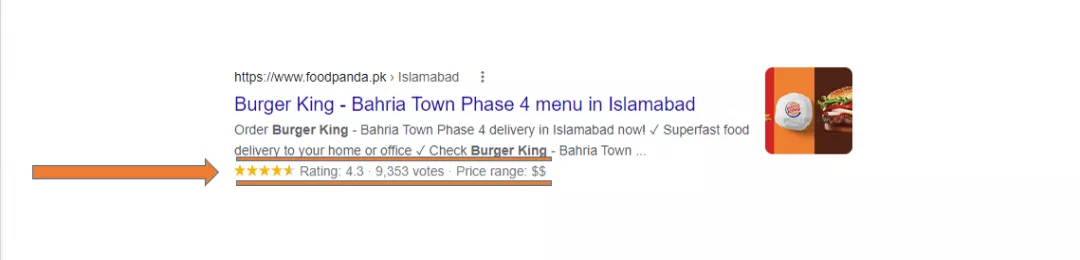 Rich Snippets Google SERP Feature